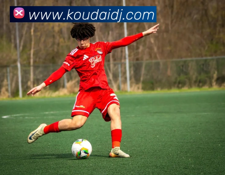 世界杯官网中文版平台生态图